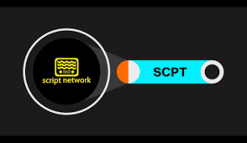 Script Network là gì