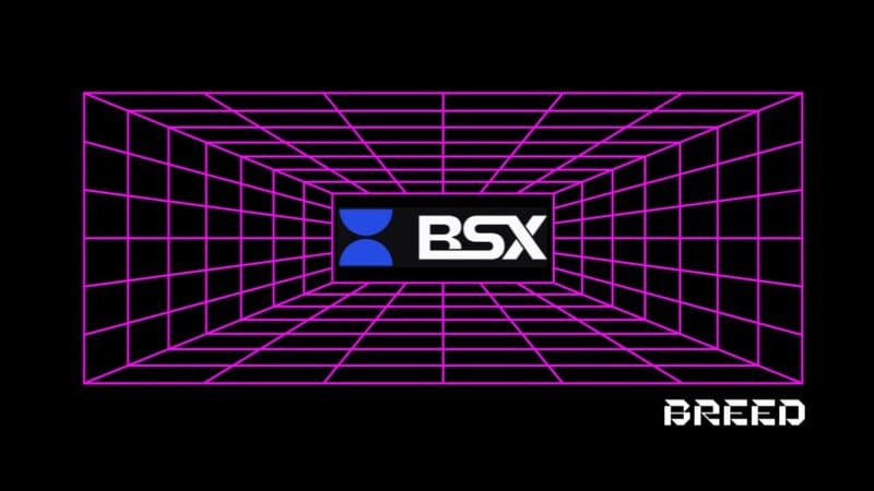 BSX airdrop