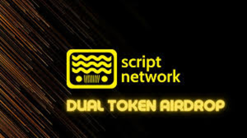 Script Network là gì và tại sao nó thu hút nhiều nhà đầu tư blockchain